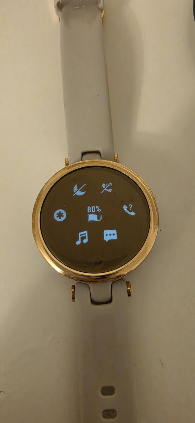 Garmin Smartwatch: Garmin Lily 34mm – Usato da Lyss venduto da ram76 2