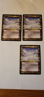 MTG - Winternacht
