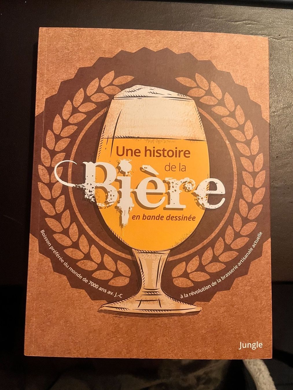 Comics: BD "Une histoire de la bière" – Gebraucht aus Lausanne von Kinga_Shopaholic