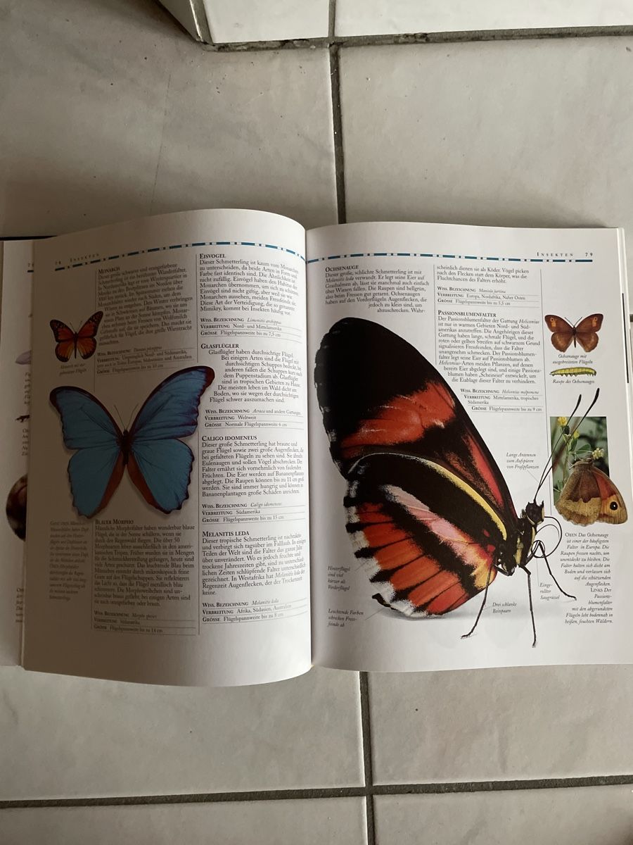 Libri: Faszination Tierwelt - Einzigartige Tierfotografien – Usato da Kaiseraugst venduto da KlausSina 6