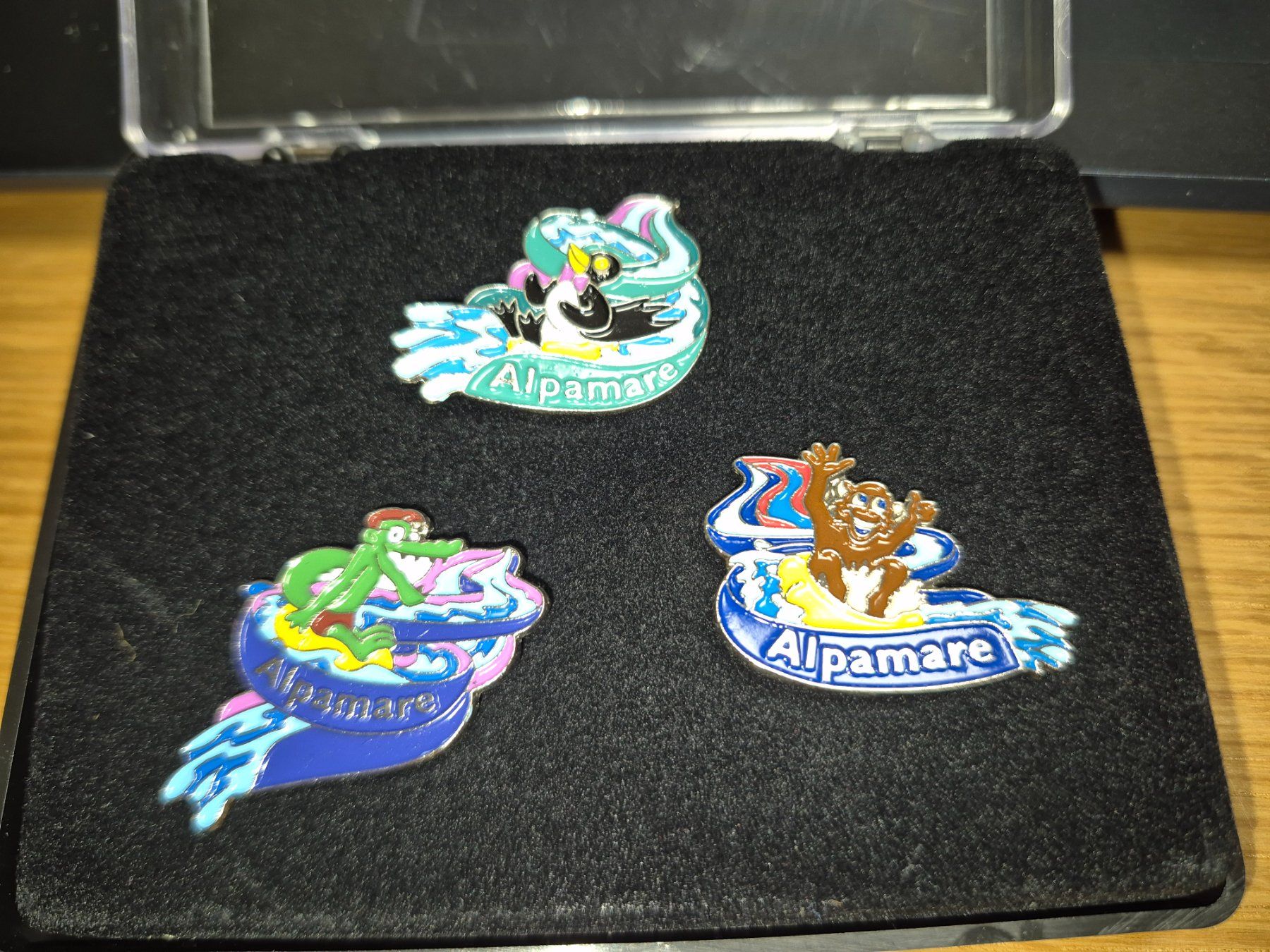 Placchette & Badge: Pins Set Alpamare – Usato da Buttikon SZ venduto da sefa02