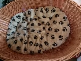 Kuscheliges Hundebettchen mit Pfotenmuster