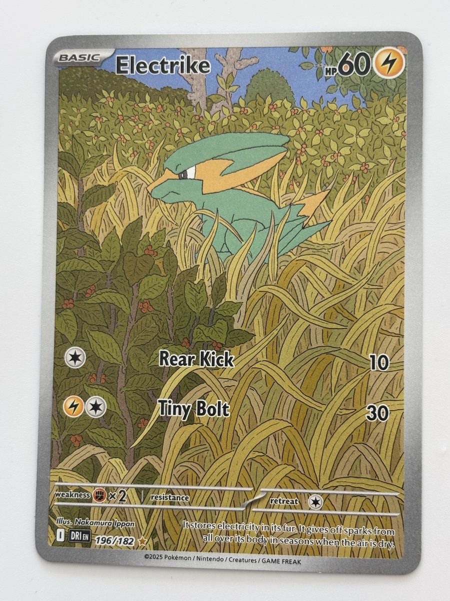 Pokémon Carte collezionabili: Arte Pokémon ELECTRIKE dri 196 – Nuovo (secondo la descrizione) da lausanne venduto da helderj