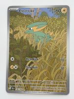 Arte Pokémon ELECTRIKE dri 196