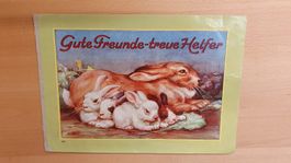 Gute Freunde - treue Helfer!