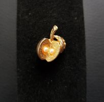 Apfel Anhänger
