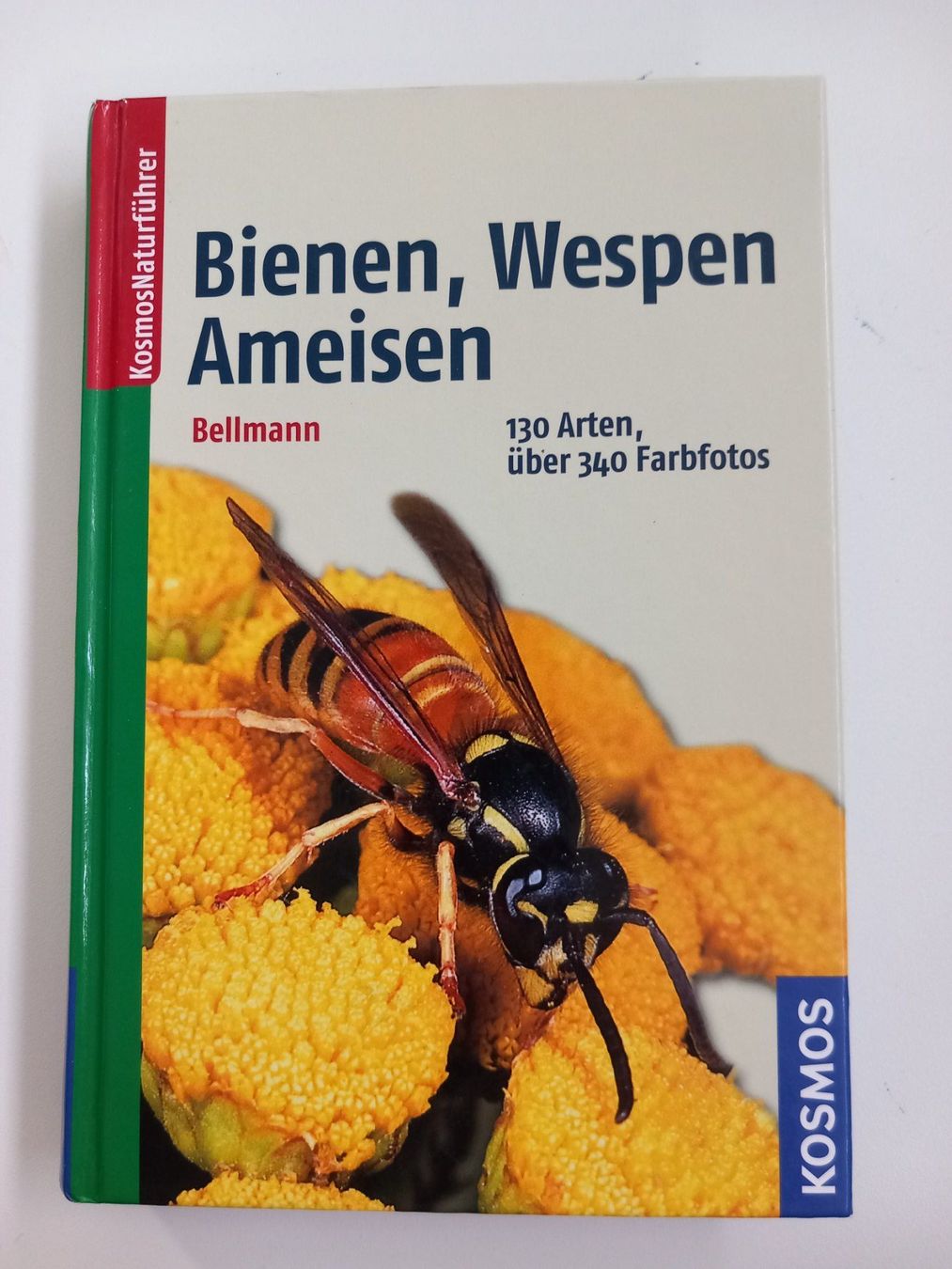 Libri: BIENEN, WESPEN, AMEISEN – Nuovo (secondo la descrizione) da Wettingen venduto da Colorup