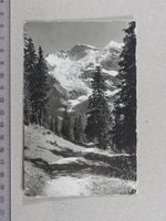 Wengen, Weg nach Mettlenalp