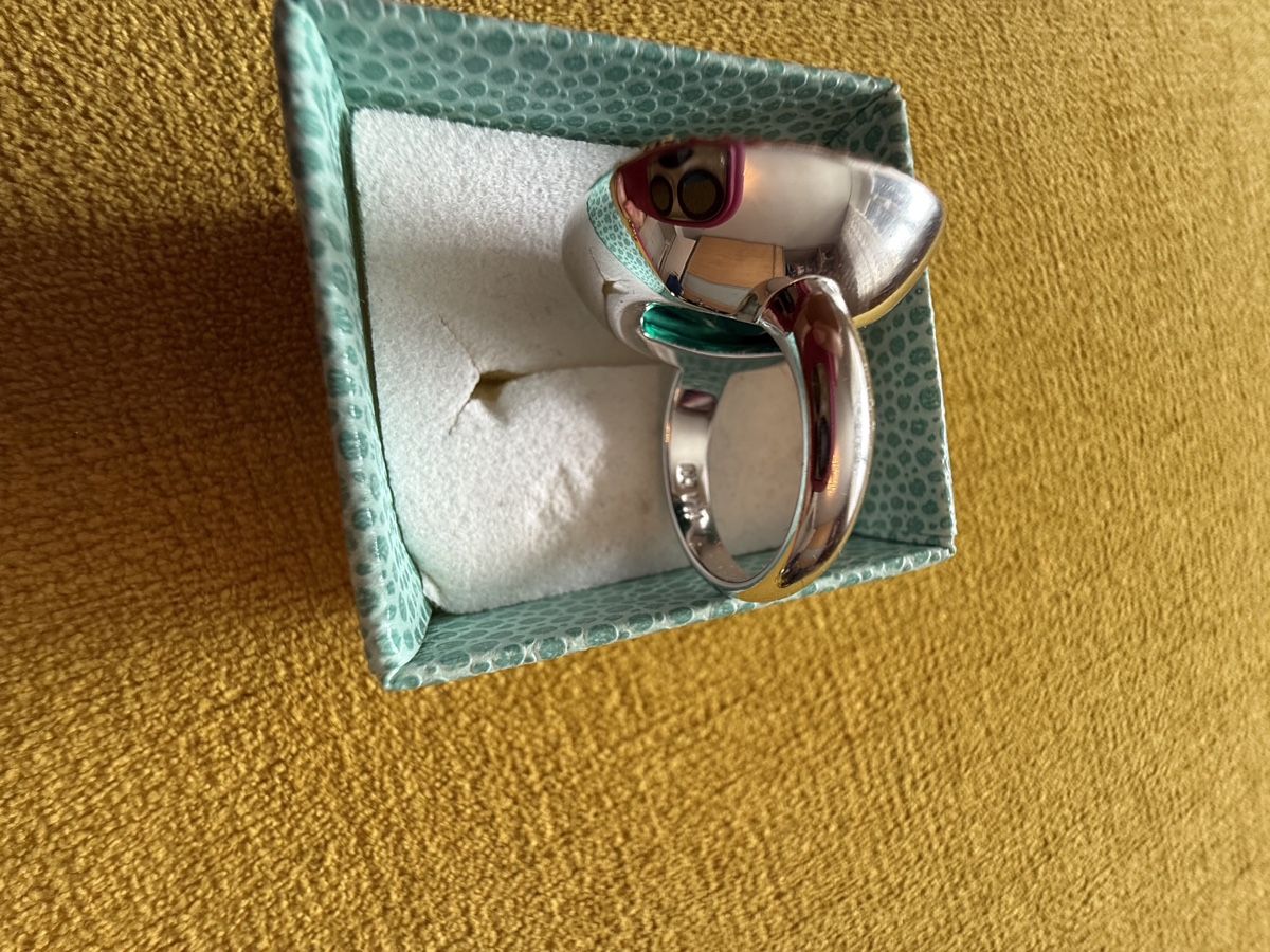Pierre Lang Anelli: Pierre Lang Ring – Nuovo (secondo la descrizione) da Feusisberg venduto da Mila1122 6