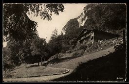 AK Rütli, Chalet am Hang mit Wiese und Felswand