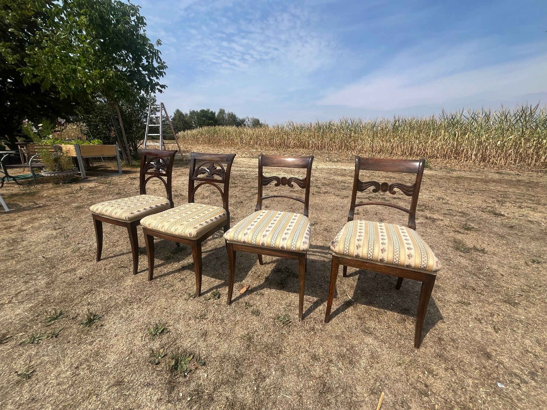 Stühle: 4 Stühle – Gebraucht aus Allmendingen b. BE von juair 1
