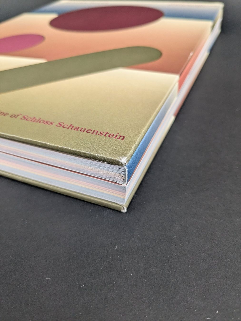 Libri: Beyond Peaks Kochbuch Andreas Caminada, M. Skiba – Usato da Dintikon venduto da Restwert_Dintikon 7