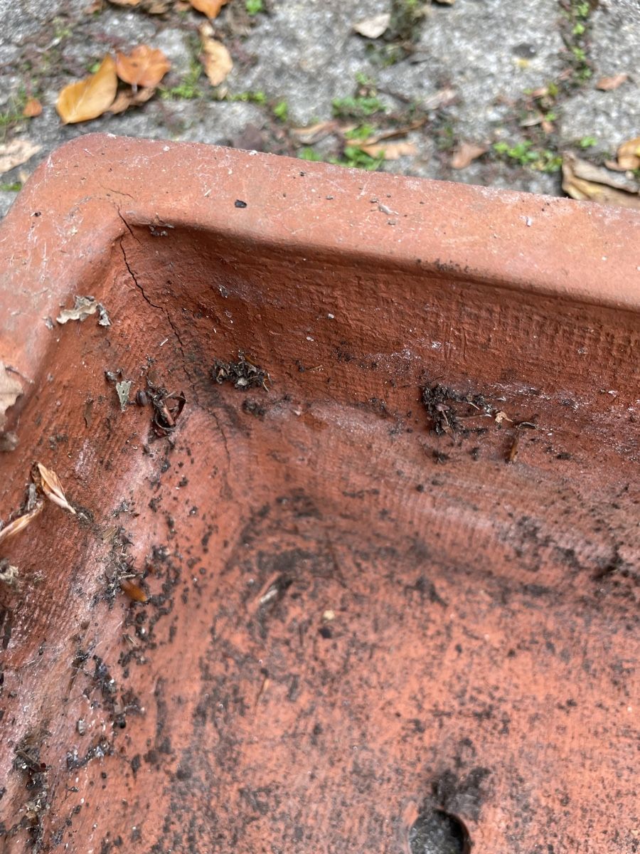 Blumentöpfe: 8 Grosse Blumentöpfe – Gebraucht aus Basel von Exceptnotes 3