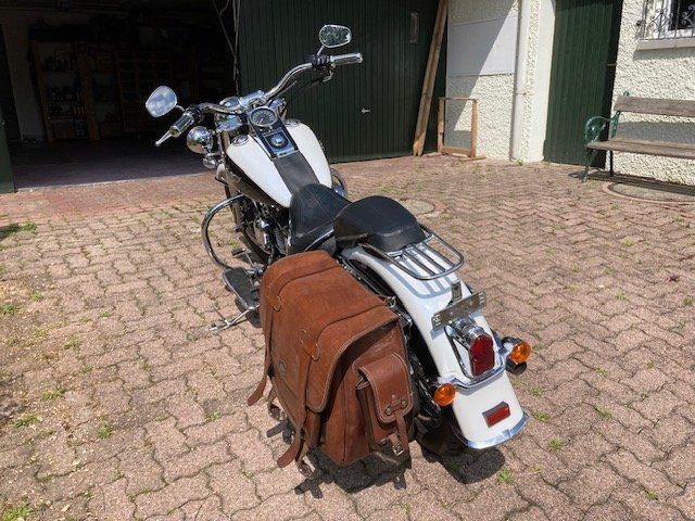 Harley-Davidson Touring: Harley Davidson FLSTNI – Usato da Gossau ZH venduto da lordinio 3