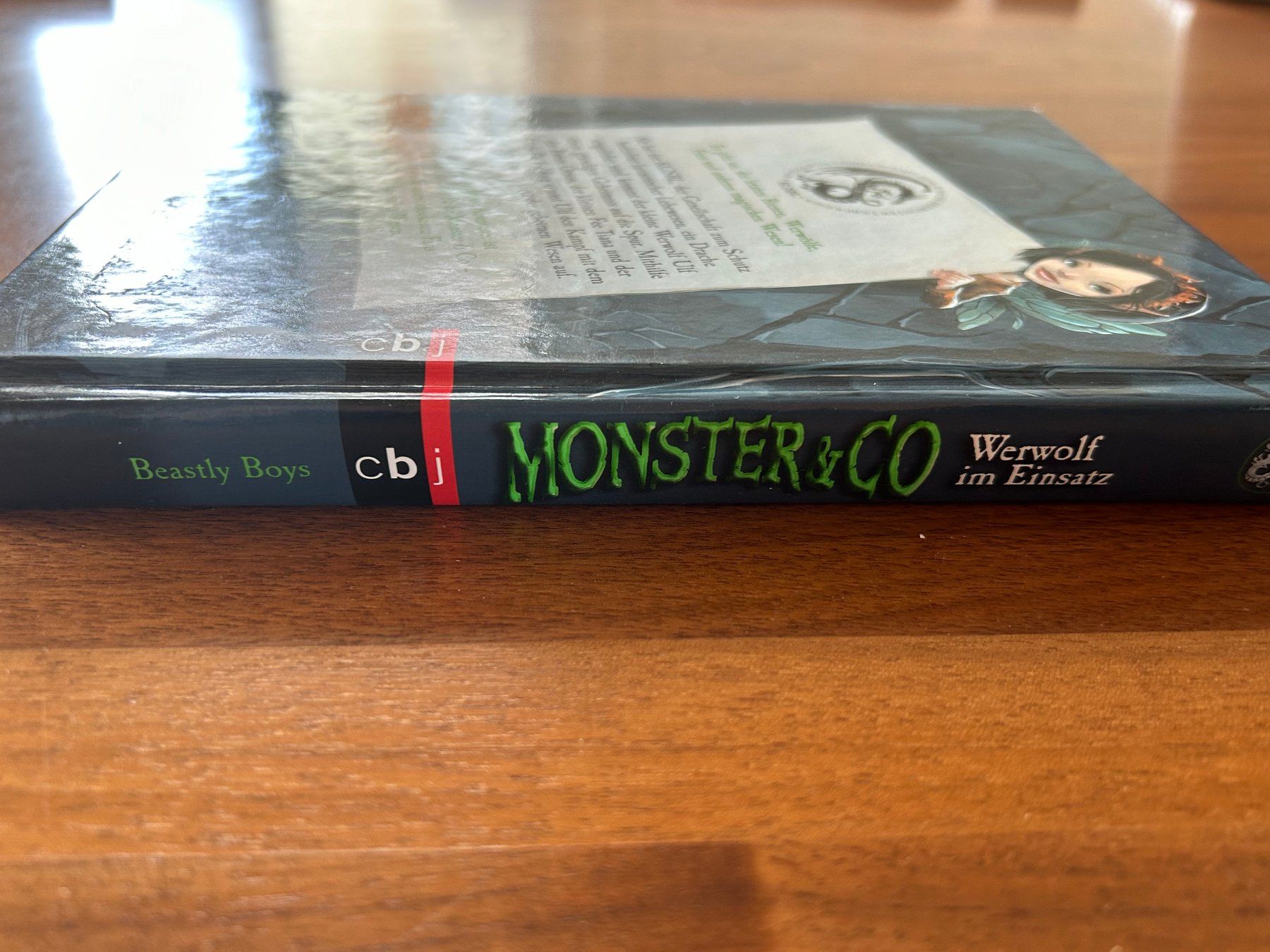 Libri: Monster & Co - Werwolf im Einsatz – Usato da Dietlikon venduto da Mankai 2
