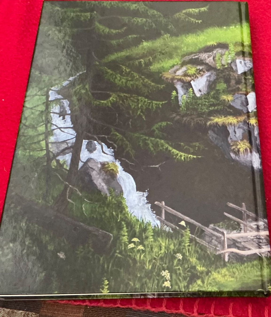 Bücher: Kapellen im Oberwallis von Norbert Lorenz, 2011 – Gebraucht aus Crans-Montana von plainemorte 6