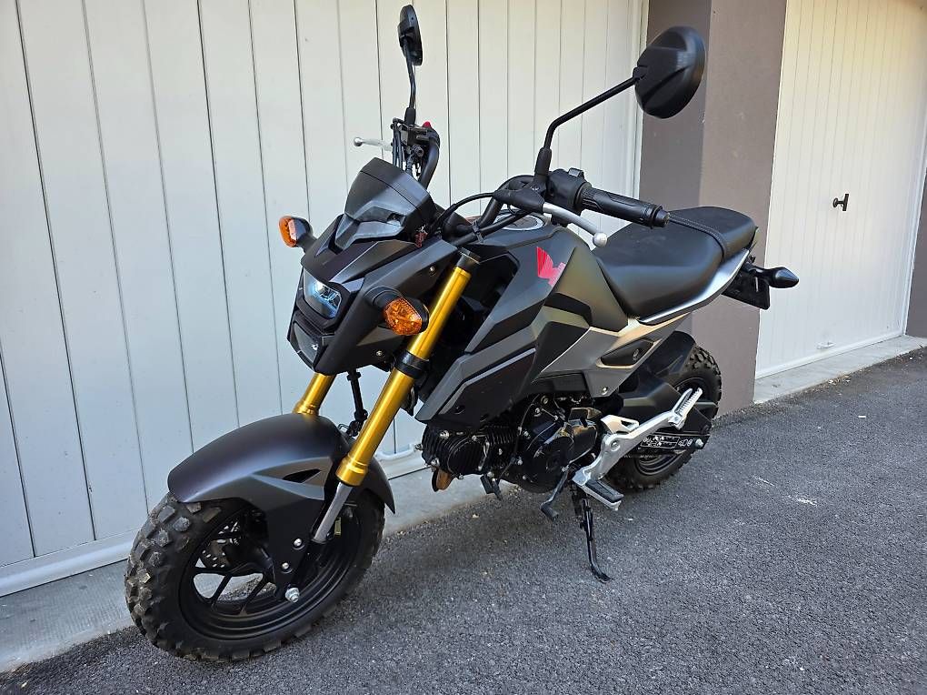 Strada: MSX 125 expertise 01.2026 – Usato da Genève venduto da man_9g78