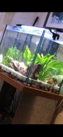 Aquarium