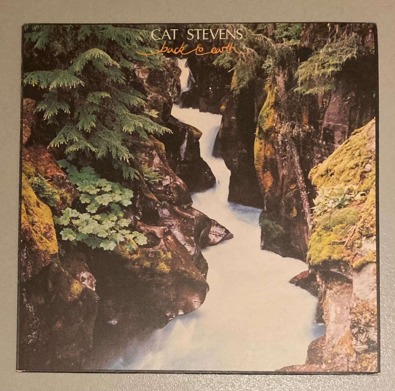 Vinyles: LP - Cat Stevens - Back To Earth – D'occasion à dachsen par oheio