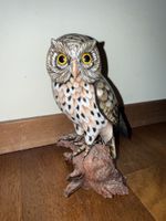 Chouette sculptée à la main magnifique! 🦉🤎🤍