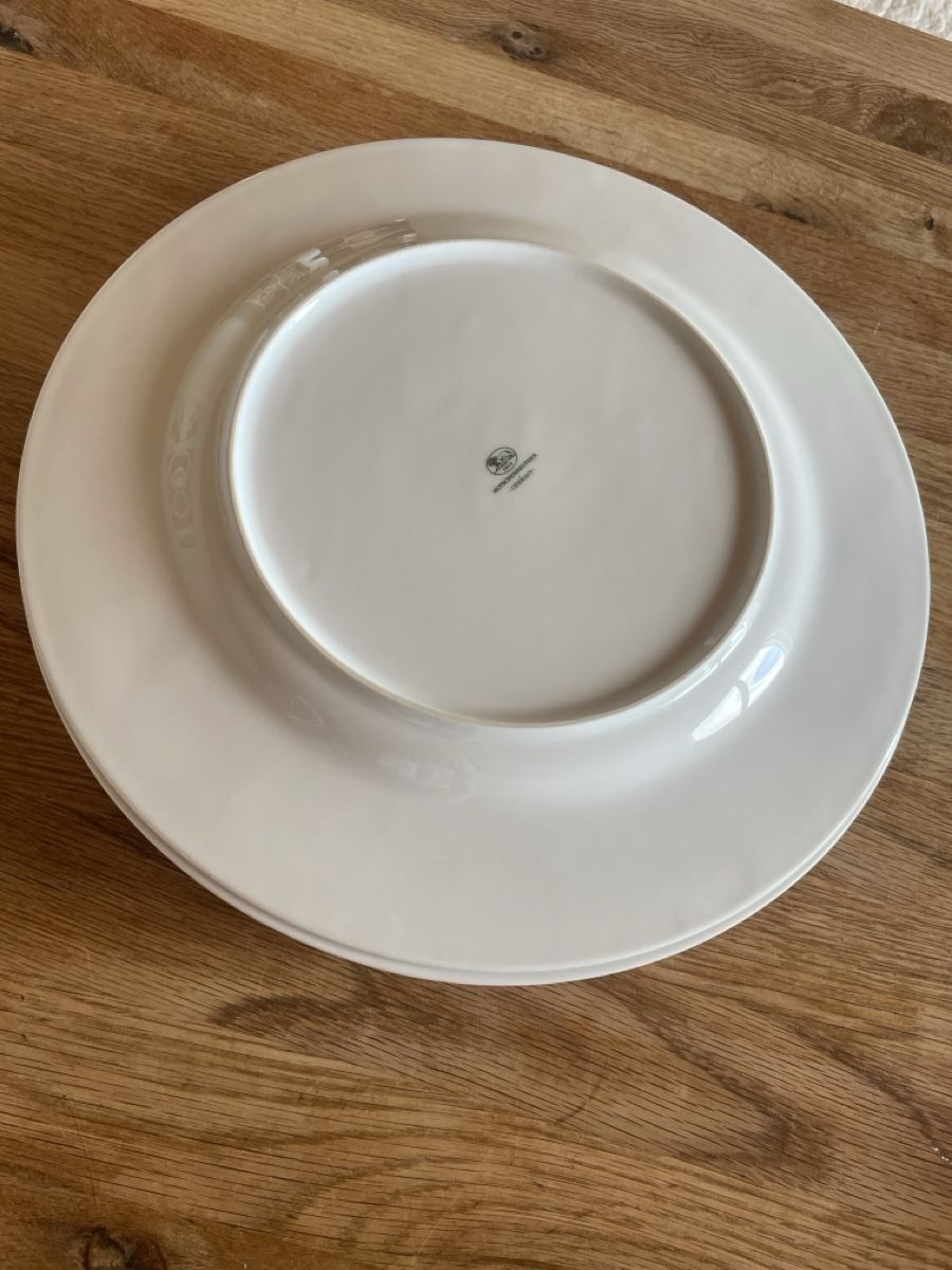 Hutschenreuther Piatti: 8 Hutschenreuther Platzteller – Usato da Freidorf TG venduto da ibipatria 1
