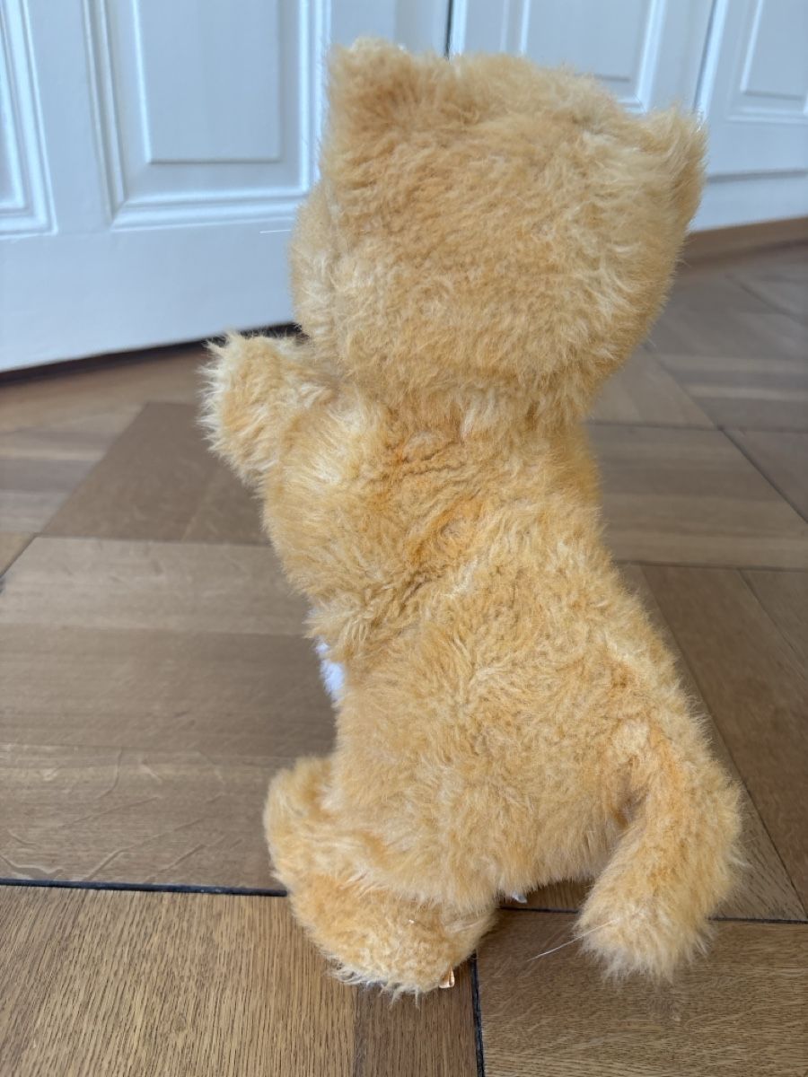 FurReal Giocattoli: FurReal friends Katze – Usato da Bern venduto da 24Sonne24 3