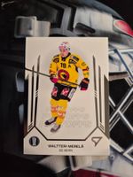 Waltteri Merelä SC Bern 2024/25 Sportzoo Playoffs