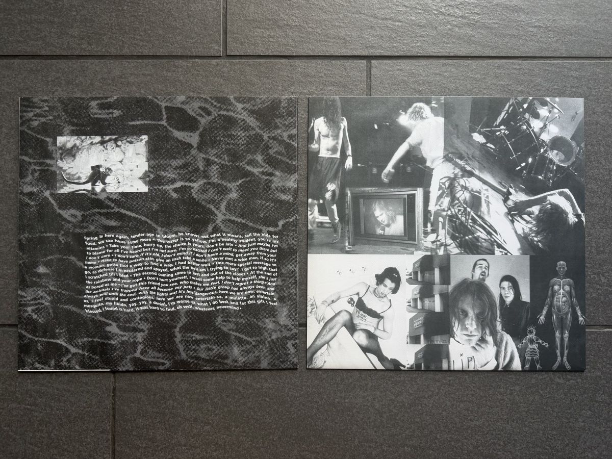 Vinyles: Nirvana Vinyl Nevermind /In Utero – D'occasion à Zürich par cENS0R 3