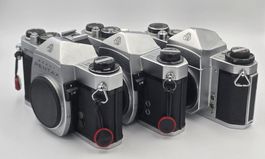Pentax Trio: SP Silver + SP II Silver + SV (M42 35mm SLR)
