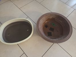 2 schöne bonsai Töpfen 