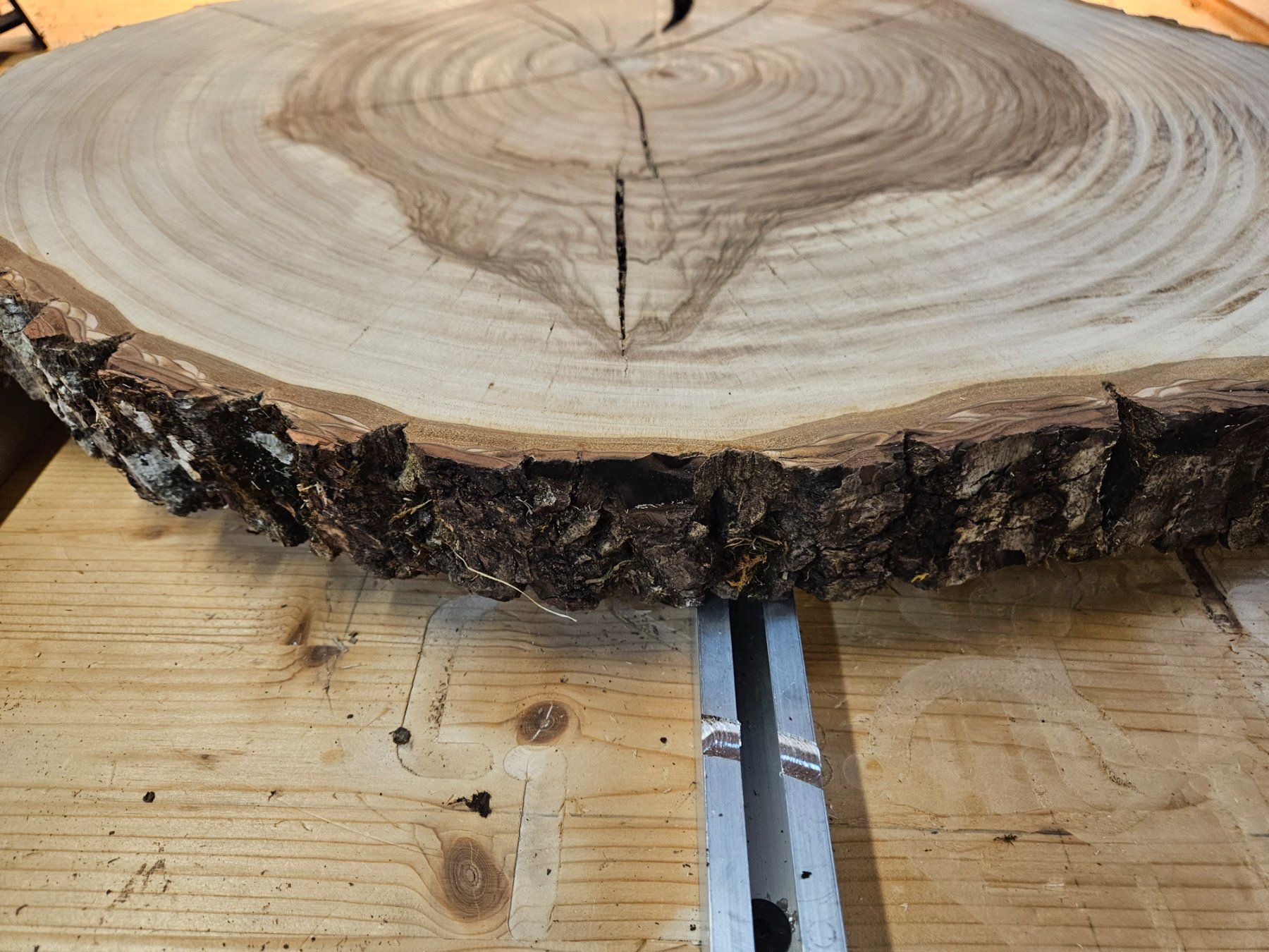 Articoli in legno: Nussbaum Holz Baumscheibe – Nuovo (secondo la descrizione) da Schangnau venduto da egli6.2 4