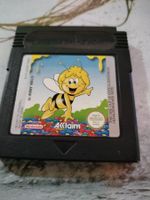 Game boy advance Ape Maia