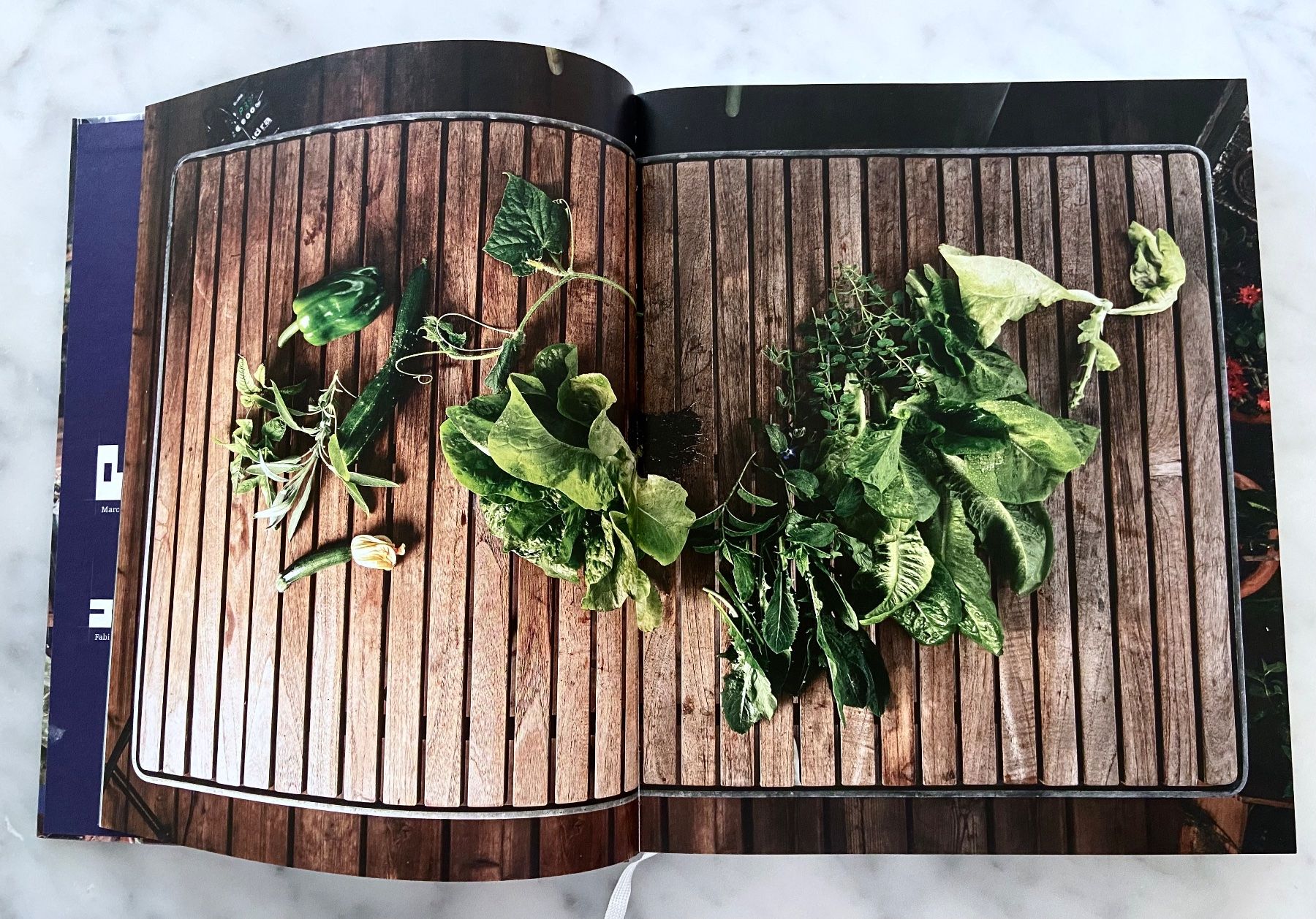 Libri: Veranda Junkies, Cornel Rüegg, Sabine Reber – Usato da Zürich venduto da eschwe 1