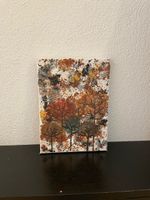 Bild sehr speziell und schön handmade