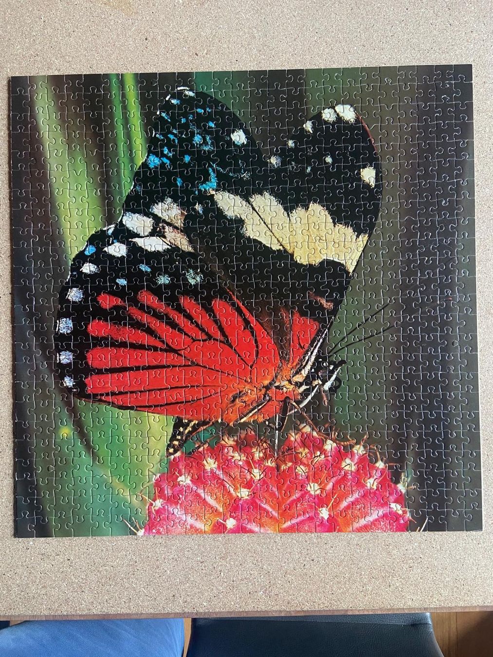 Ravensburger Puzzle: Puzzle 600 Schmetterling Ravensburger – Usato da Rafz venduto da Powacaddy 2