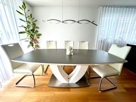 Esstisch mit 8 Stühlen, Designmöbel, sehr guter Zustand