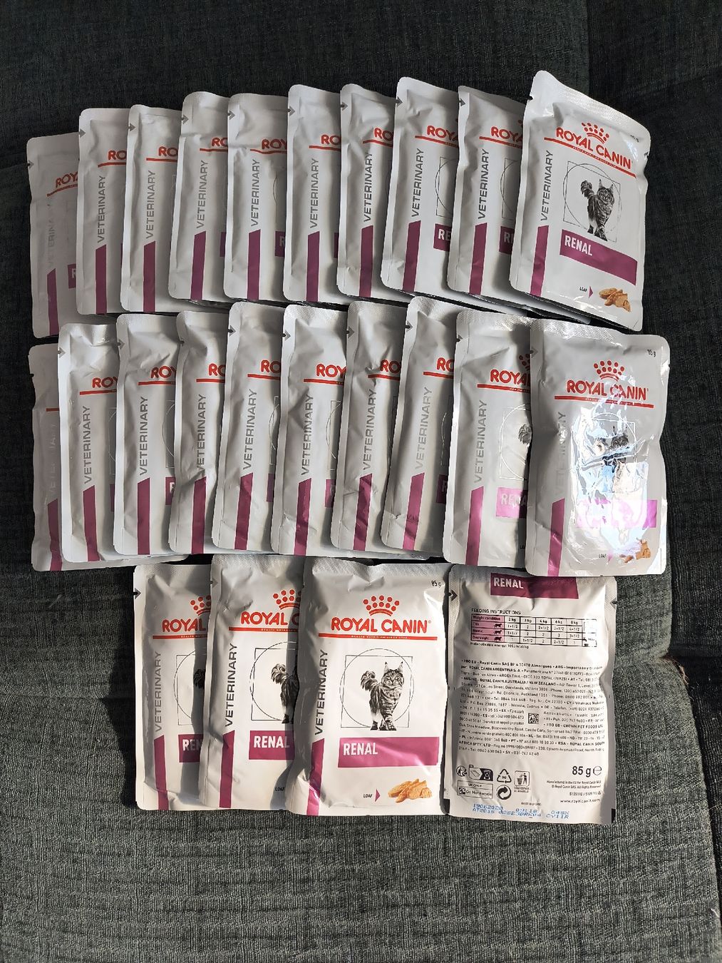 Royal Canin Nourriture: Royal Canin Renal Loaf Katzenfutter – Neuf avec emballage d'origine à Konolfingen par Michchachela