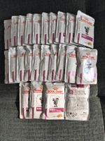 Royal Canin Renal Loaf Katzenfutter