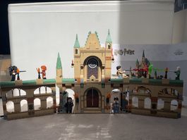 LEGO Harry Potter Kampf um Hogwarts ab 1 Fr. 🏰⚔️