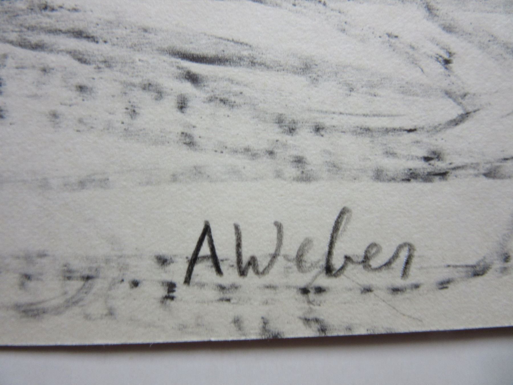 Grafica & Litografie: A. WEBER LITHOGRAPHIE SIGNIERT – Usato da Gersau venduto da kunst-online 1