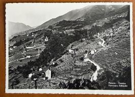 Tenero - Contra Versasca - Vignoble. 1951