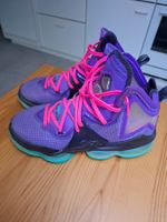 Nike LeBron 19 DJ Bron Purple Teal Gr. 41.5 – ungetragen