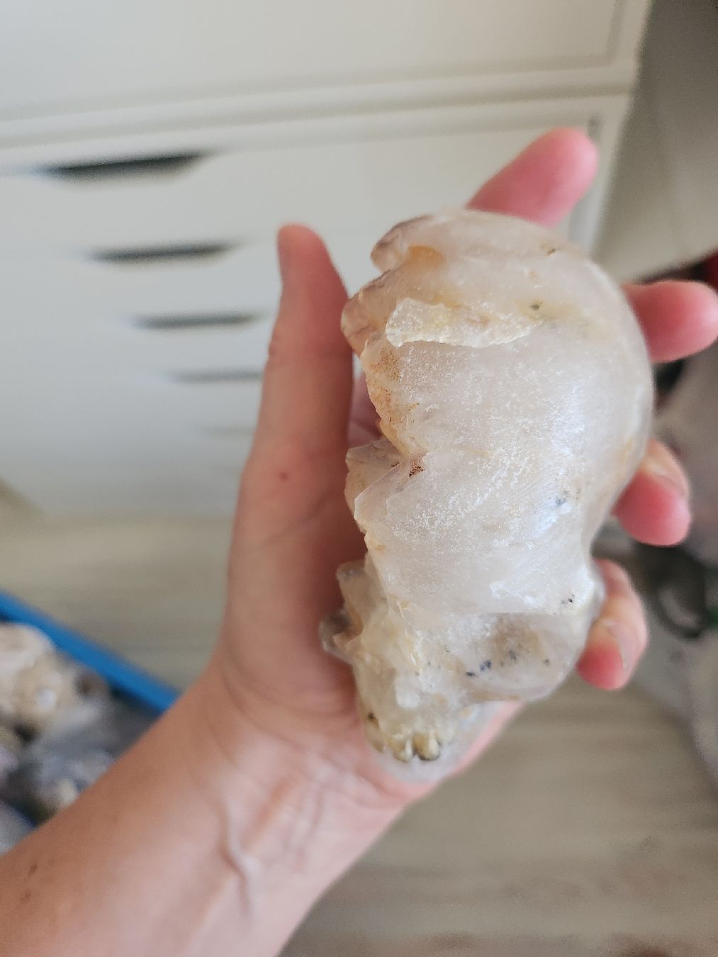 Tutte le decorazioni: crâne de cristal de roche  – Nuovo e nell'imballaggio originale da St-Livres venduto da SilkeC 7