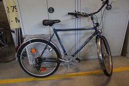 Herrenvelo Freedom