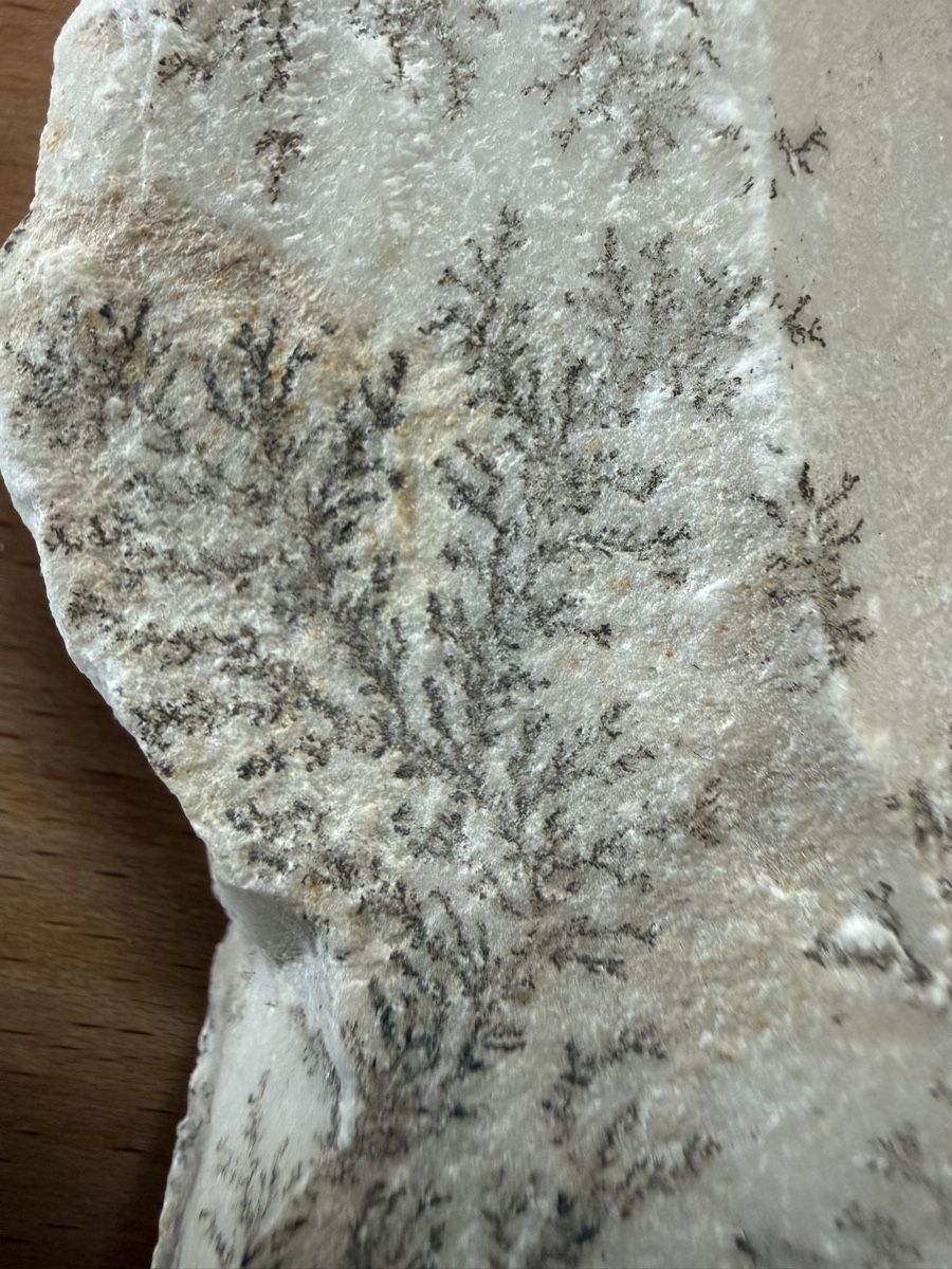 Minerali & Pietre curative:  Manganoxid-Dendrite – Usato da Grenchen venduto da Bastet007 1