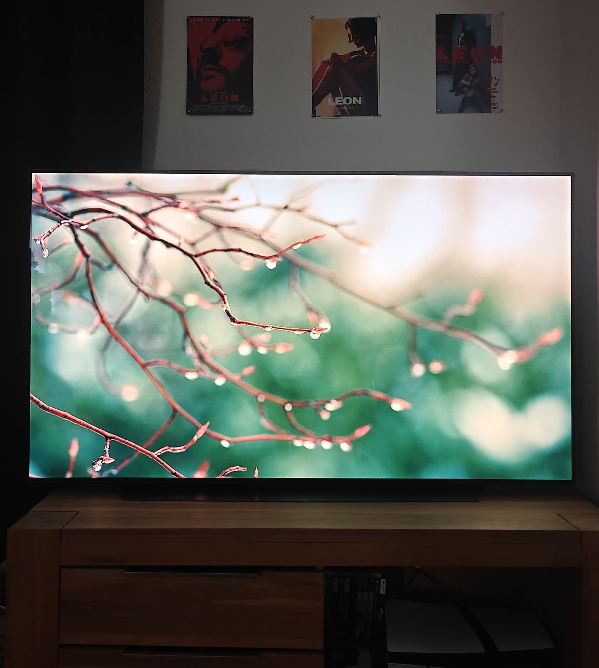 LG Appareils TV: LG OLED65C9 OLED 4K 120Hz – D'occasion à Zürich par wat_57t2 2