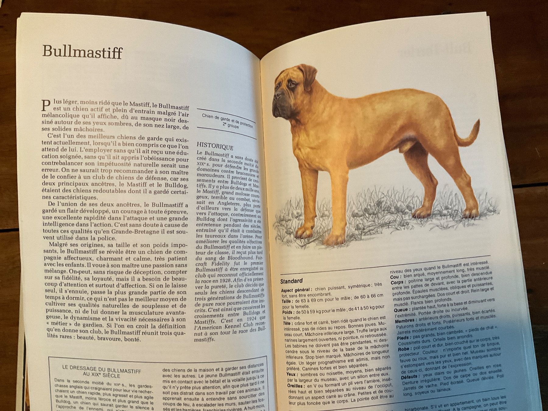 Livres: Guide des Chiens Sélection Reader's Digest – D'occasion à Avenches par Lactobacille 6