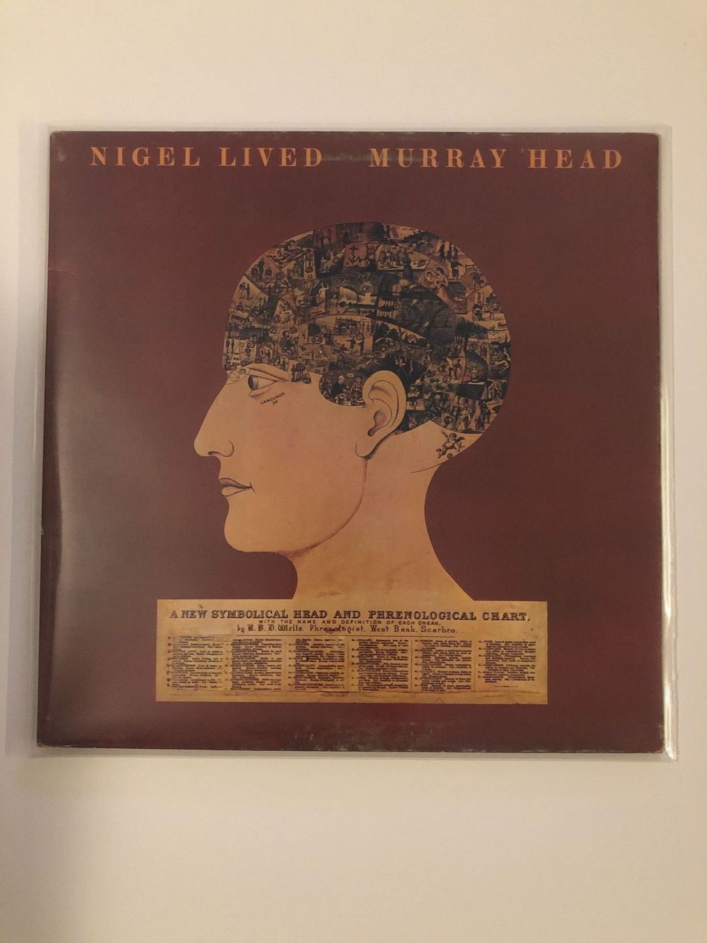 Dischi in vinile: Murray Head LP – Usato da Gutenswil venduto da Hamzian