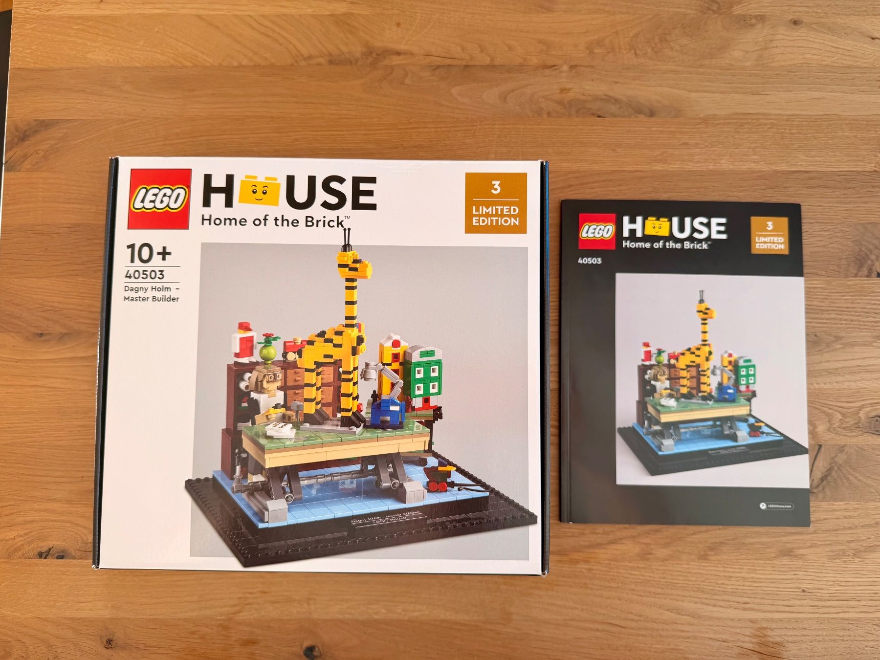 Lego Kit di costruzioni: LEGO House Dagny Holm - Master Builder 40503 – Usato da Uetendorf venduto da manueltanner 2