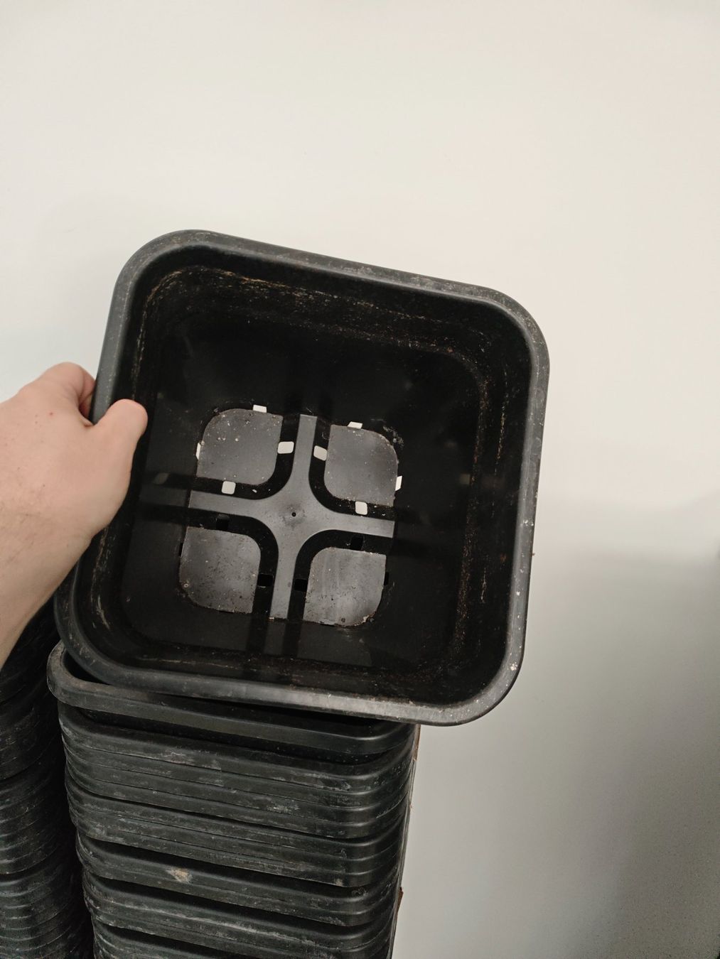 Piante & sementi: 18 Liter Anzuchtschalen, – Usato da Dübendorf venduto da tho_v2cs
